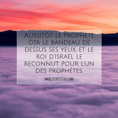 1 Rois 20:41 LSG Image du verset biblique