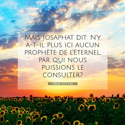 1 Rois 22:7 LSG Image du verset biblique