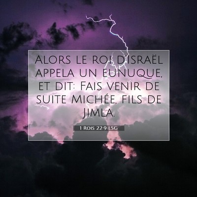 1 Rois 22:9 LSG Image du verset biblique