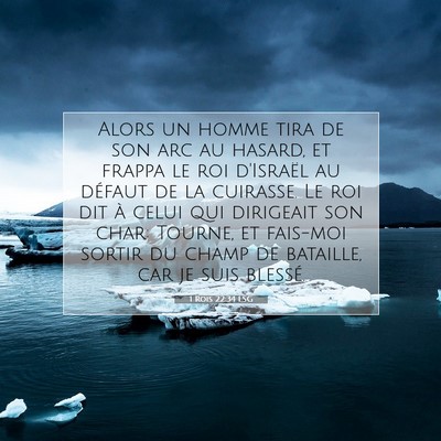 1 Rois 22:34 LSG Image du verset biblique