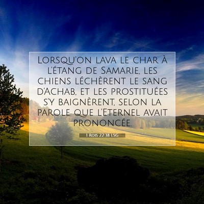 1 Rois 22:38 Verset biblique expliqué