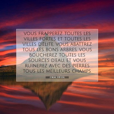 2 Rois 3:19 Verset biblique expliqué