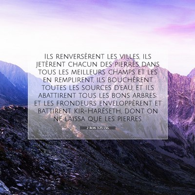 2 Rois 3:25 Verset biblique expliqué