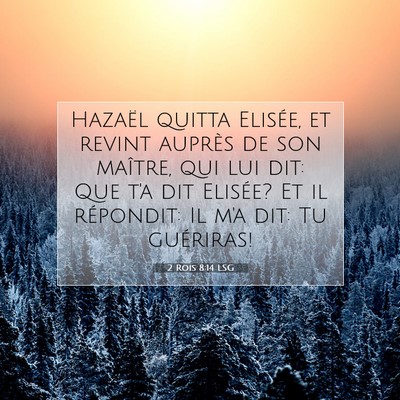 2 Rois 8:14 LSG Image du verset biblique