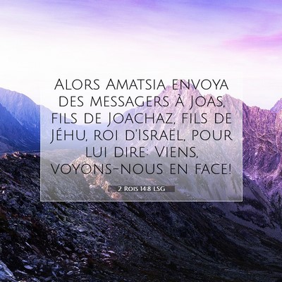 2 Rois 14:8 LSG Image du verset biblique