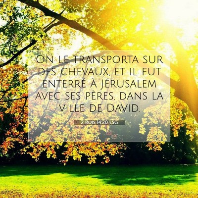 2 Rois 14:20 LSG Image du verset biblique