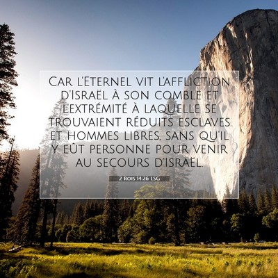 2 Rois 14:26 LSG Image du verset biblique