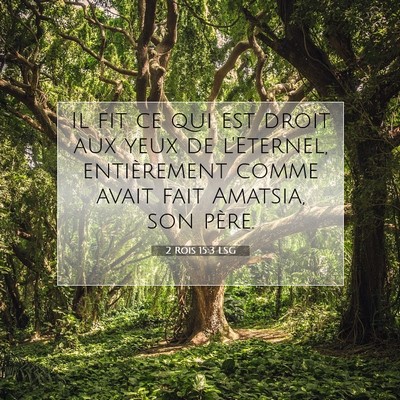 2 Rois 15:3 LSG Image du verset biblique