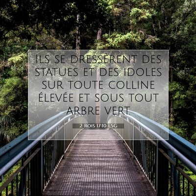 2 Rois 17:10 Verset biblique expliqué