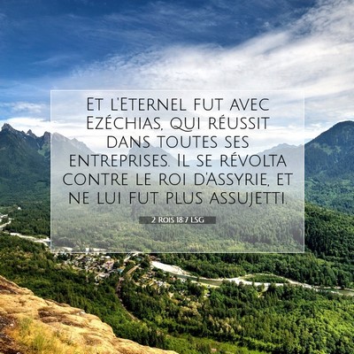 2 Rois 18:7 LSG Image du verset biblique