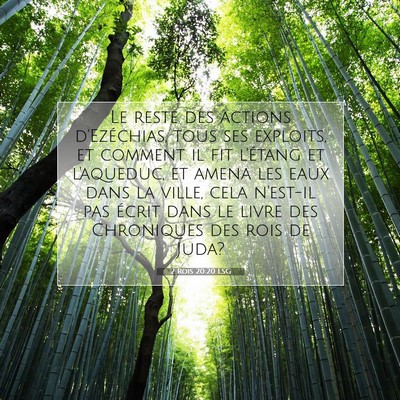 2 Rois 20:20 LSG Image du verset biblique