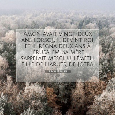 2 Rois 21:19 LSG Image du verset biblique