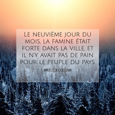 2 Rois 25:3 LSG Image du verset biblique