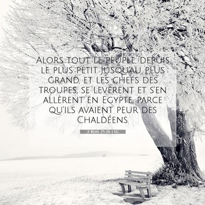 2 Rois 25:26 LSG Image du verset biblique