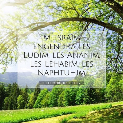 1 Chroniques 1:11 Verset biblique expliqué