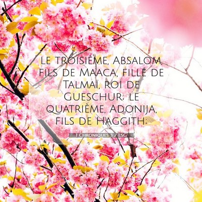 1 Chroniques 3:2 LSG Image du verset biblique