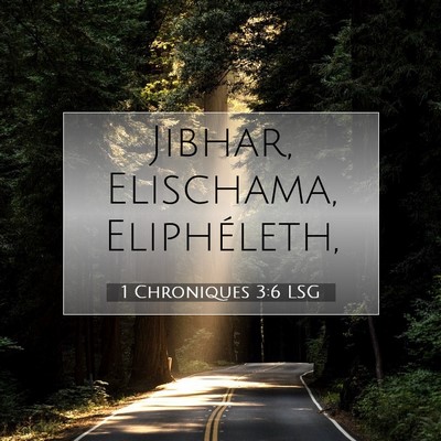 1 Chroniques 3:6 Verset biblique expliqué