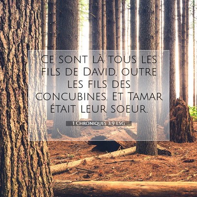 1 Chroniques 3:9 LSG Image du verset biblique