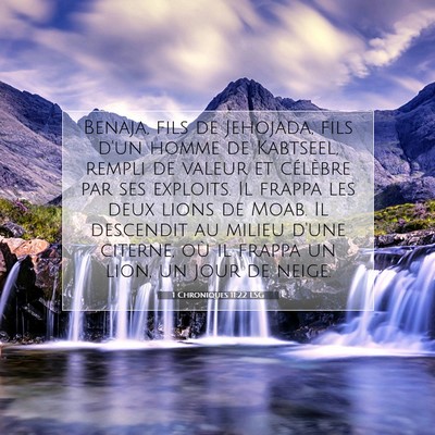 1 Chroniques 11:22 Verset biblique expliqué