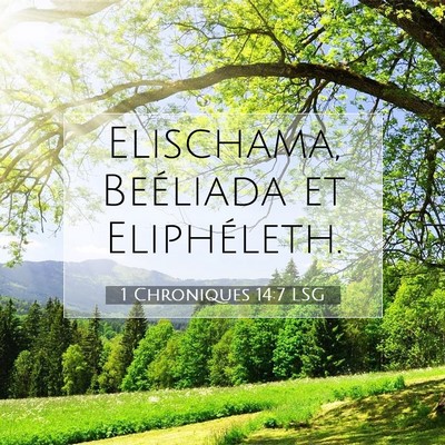 1 Chroniques 14:7 LSG Image du verset biblique