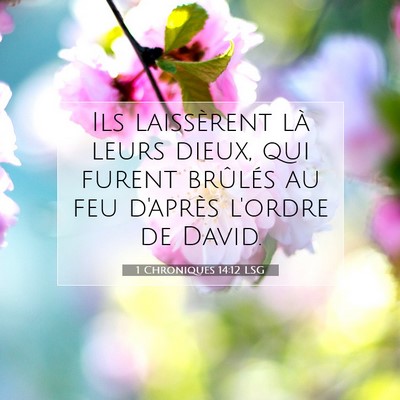 1 Chroniques 14:12 Verset biblique expliqué