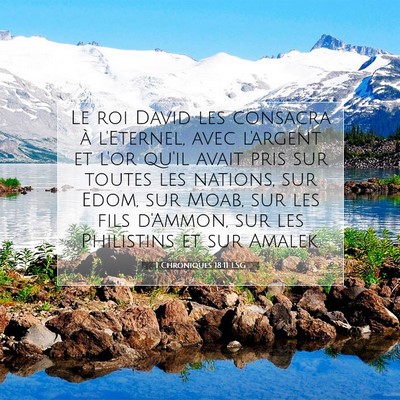 1 Chroniques 18:11 LSG Image du verset biblique