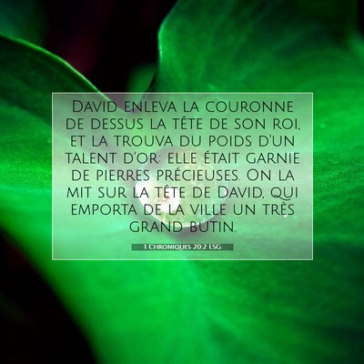 1 Chroniques 20:2 LSG Image du verset biblique