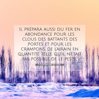 1 Chroniques 22:3 Verset biblique expliqué