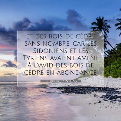 1 Chroniques 22:4 Verset biblique expliqué