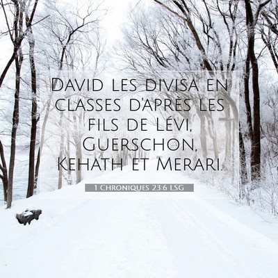 1 Chroniques 23:6 LSG Image du verset biblique