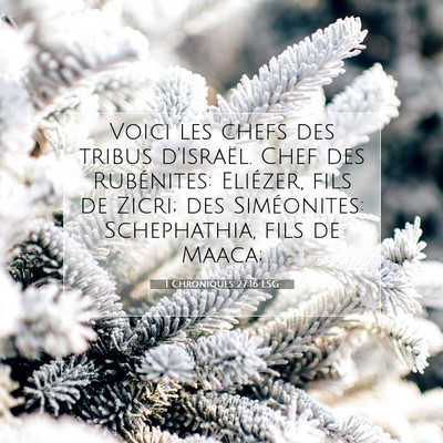 1 Chroniques 27:16 LSG Image du verset biblique