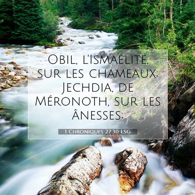 1 Chroniques 27:30 Verset biblique expliqué