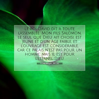 1 Chroniques 29:1 LSG Image du verset biblique