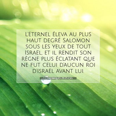 1 Chroniques 29:25 Verset biblique expliqué