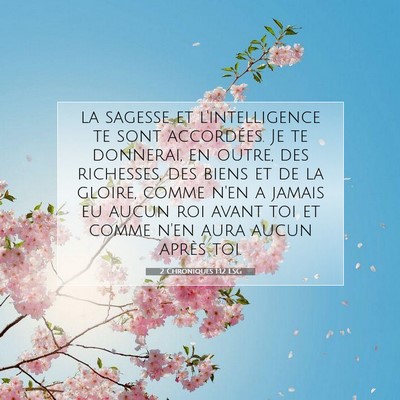 2 Chroniques 1:12 Verset biblique expliqué