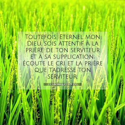 2 Chroniques 6:19 LSG Image du verset biblique