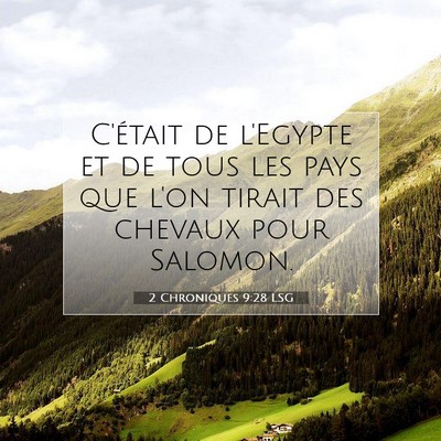 2 Chroniques 9:28 LSG Image du verset biblique