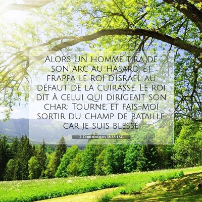 2 Chroniques 18:33 LSG Image du verset biblique