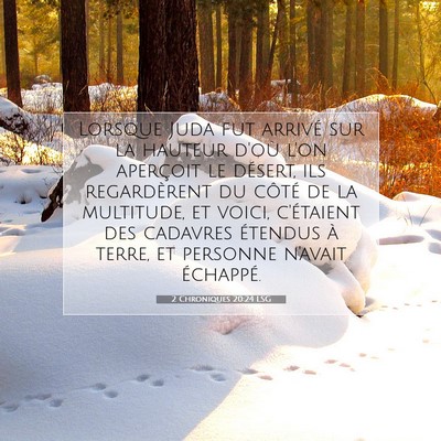 2 Chroniques 20:24 LSG Image du verset biblique