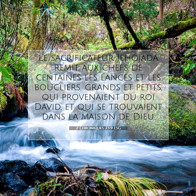 2 Chroniques 23:9 LSG Image du verset biblique