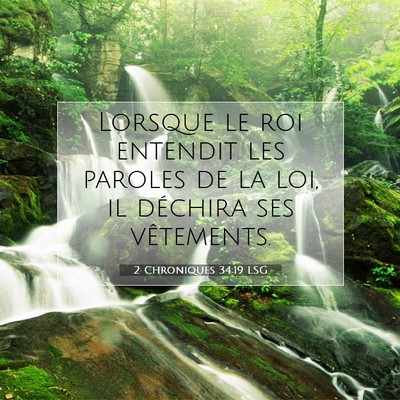 2 Chroniques 34:19 LSG Image du verset biblique