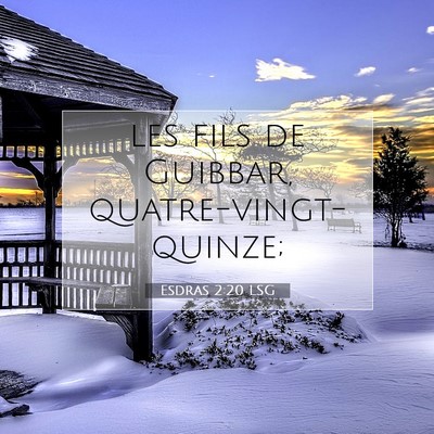 Esdras 2:20 LSG Image du verset biblique