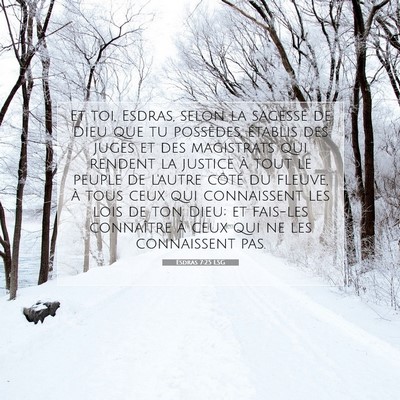 Esdras 7:25 LSG Image du verset biblique