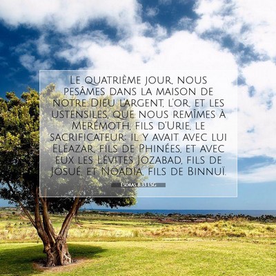 Esdras 8:33 LSG Image du verset biblique