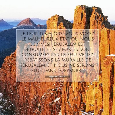 Néhémie 2:17 LSG Image du verset biblique