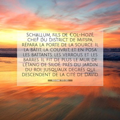 Néhémie 3:15 LSG Image du verset biblique