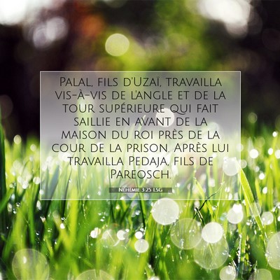 Néhémie 3:25 LSG Image du verset biblique