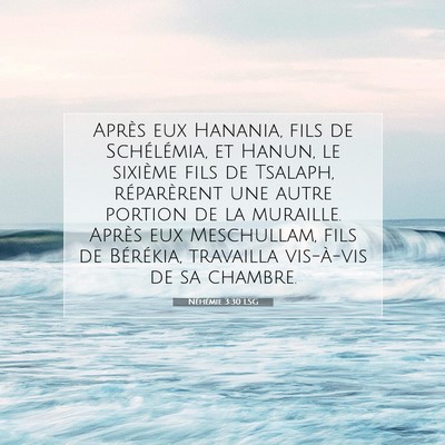 Néhémie 3:30 LSG Image du verset biblique