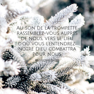 Néhémie 4:20 LSG Image du verset biblique