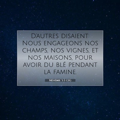 Néhémie 5:3 Verset biblique expliqué